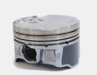Piston Assembly